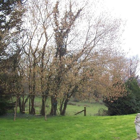 Chateau Champigny Bed and Breakfast Maillet  Esterno foto