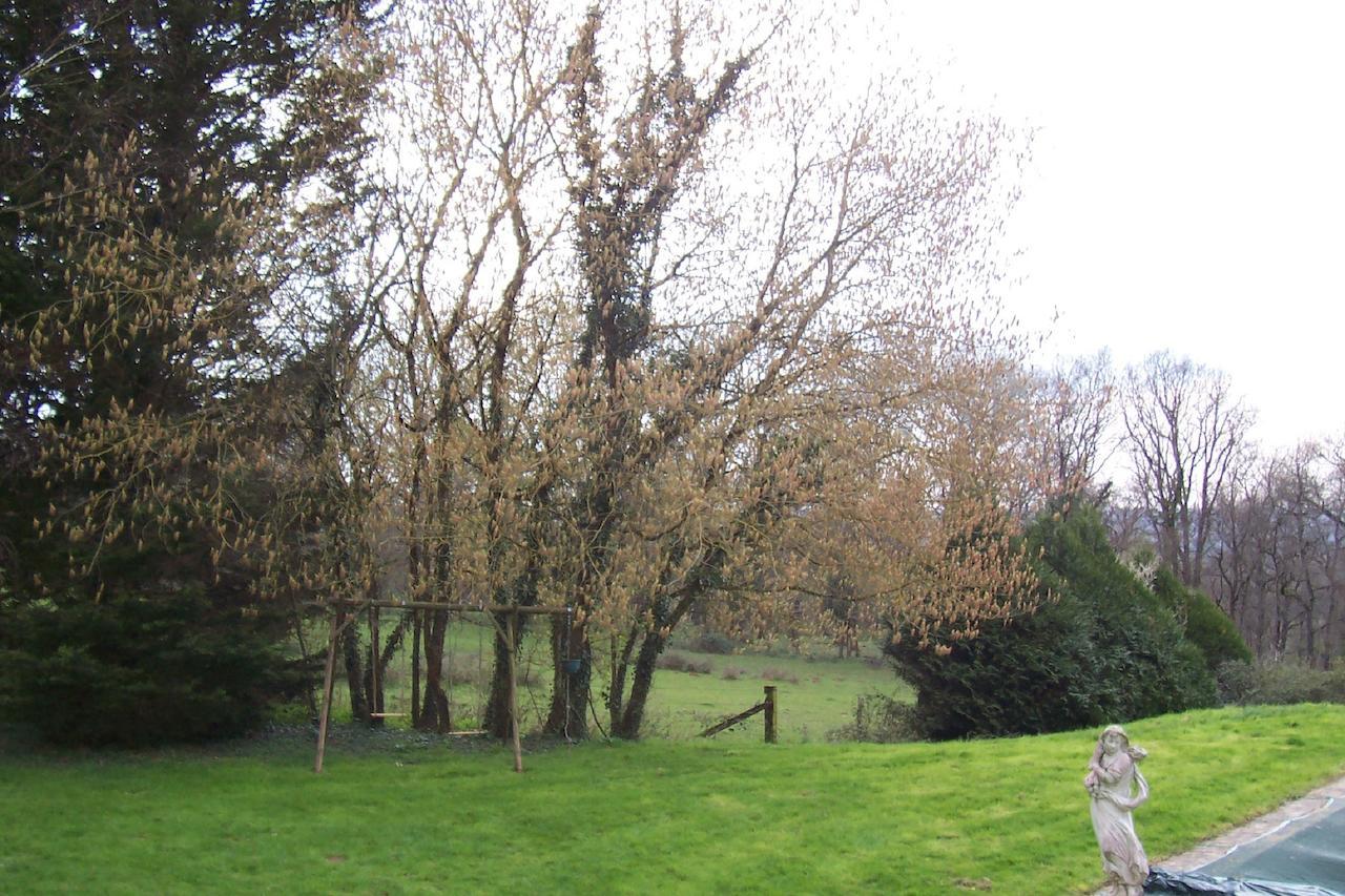 Chateau Champigny Bed and Breakfast Maillet  Esterno foto